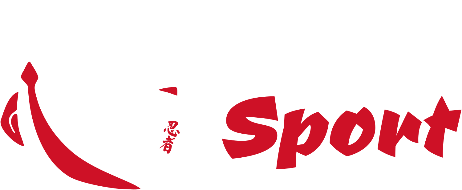 Logo-Ninja-Sport-Romania_white